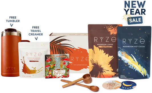 Day Night Bundle Coffee Cocoa