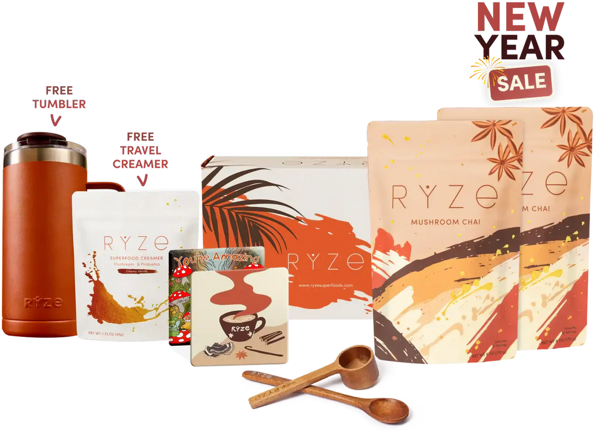 Mushroom Chai Starter Kit 40 Servings