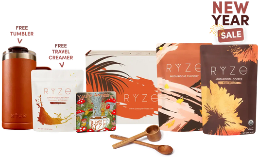 Lasting Energy Bundle