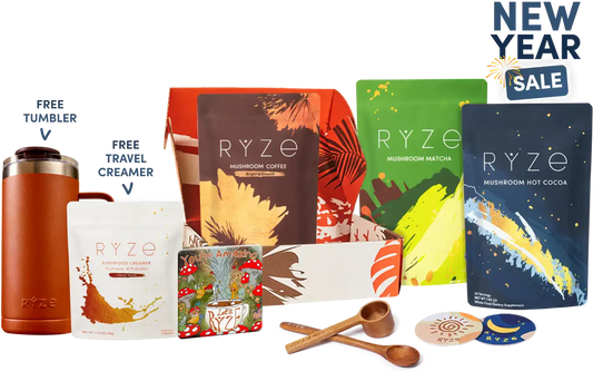 Ultimate Day + Night Bundle Focus Blend