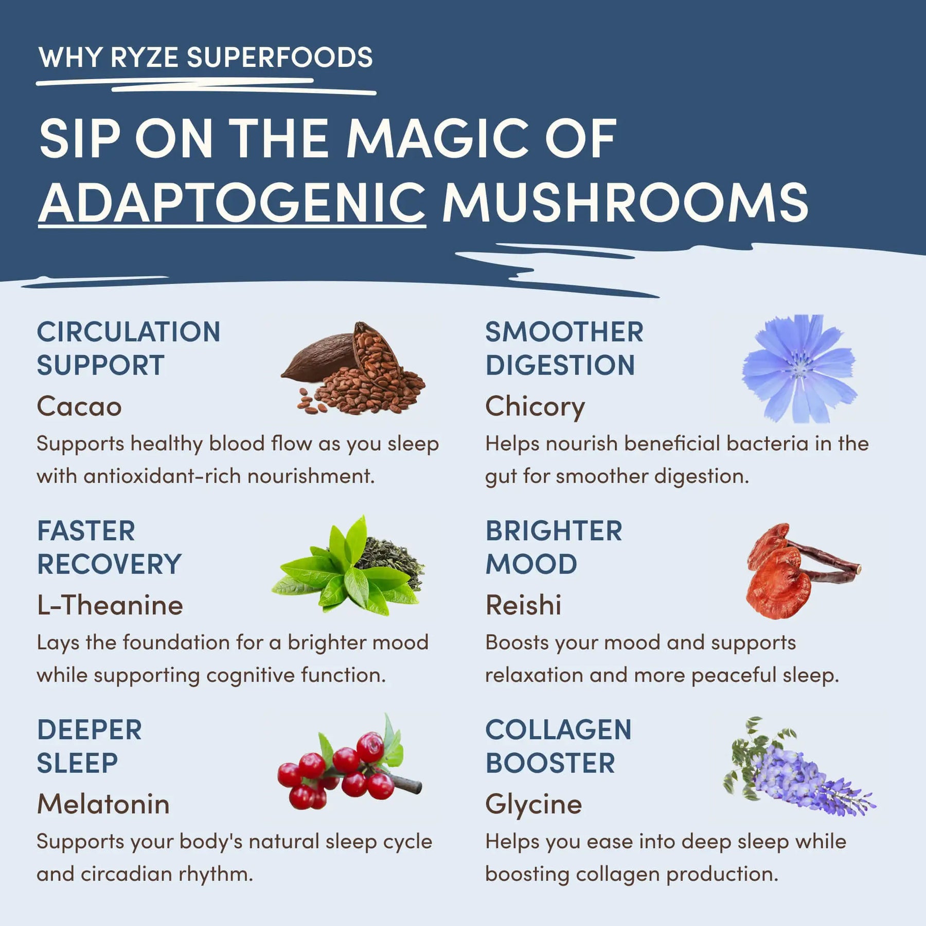 Day Night Bundle Coffee Cocoa